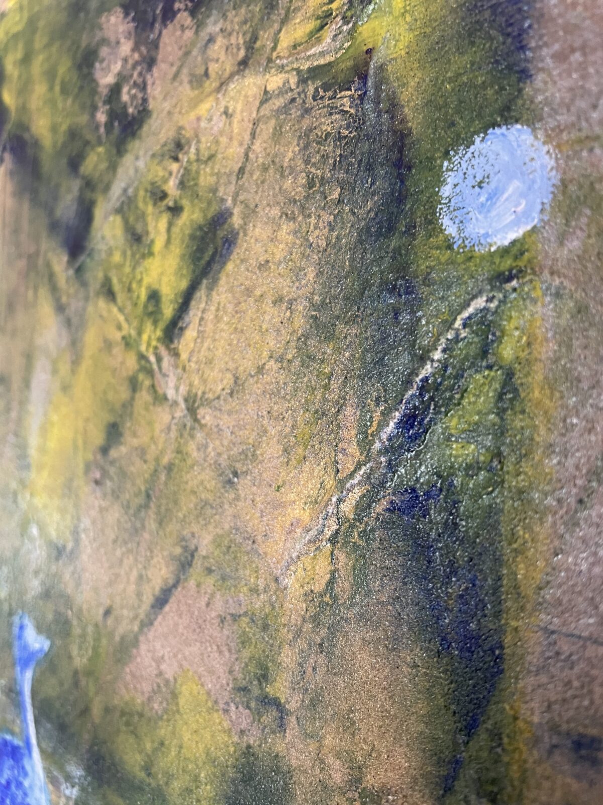 Gazing out of the pond - Image 3