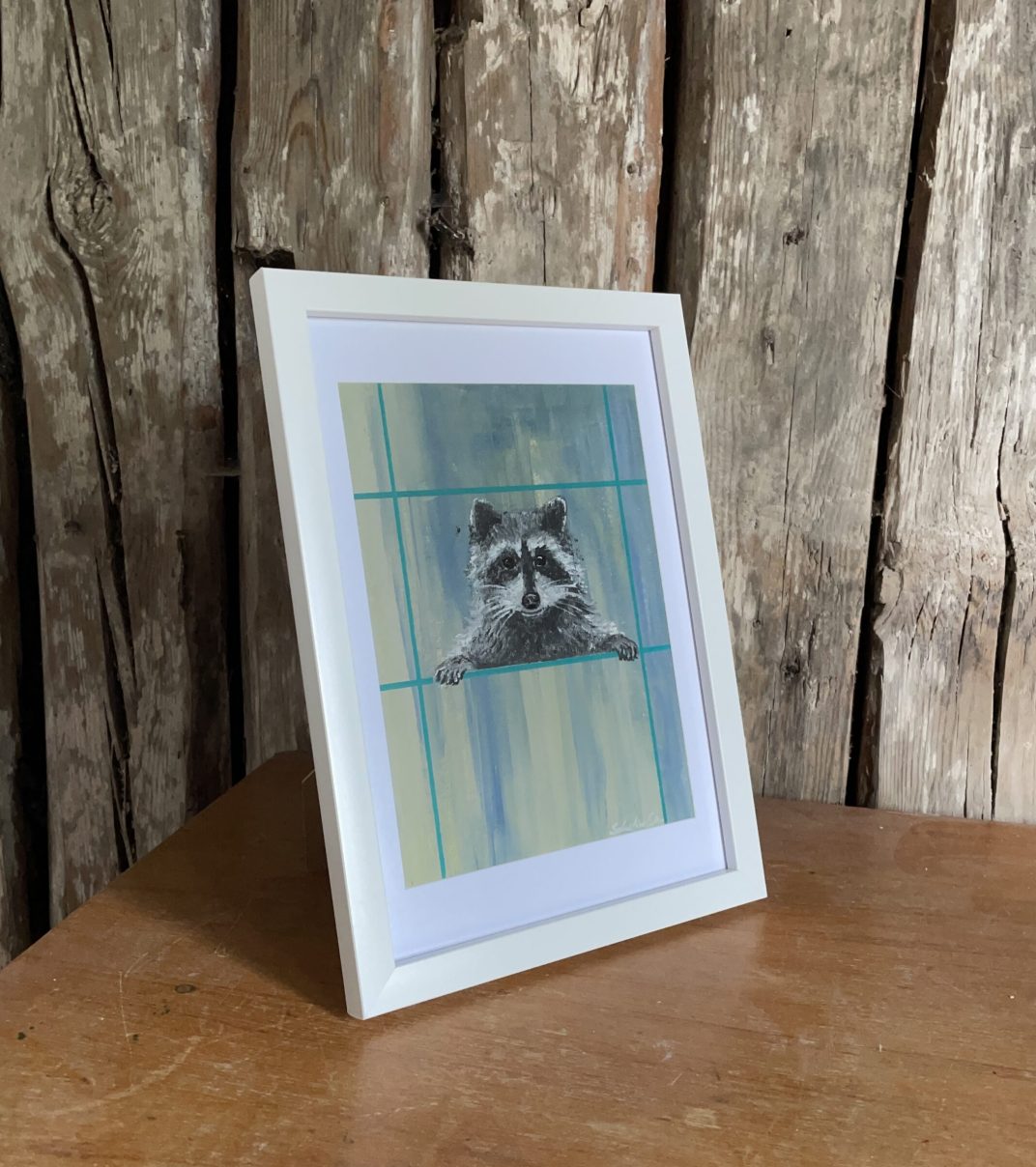 Raccoon_2